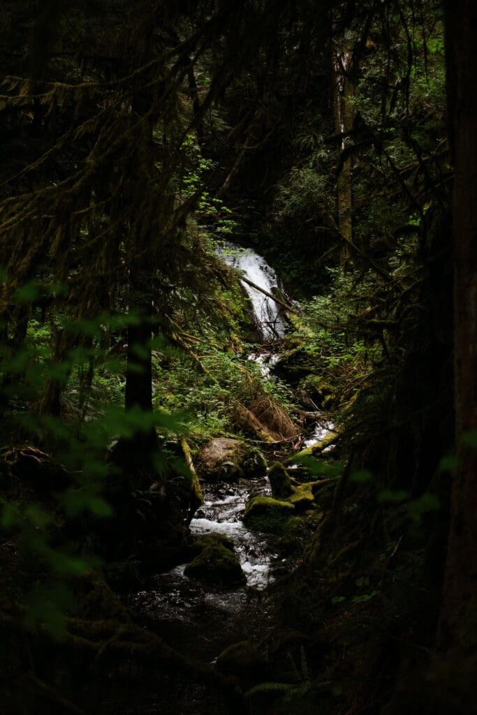 Where to Elope in Washington